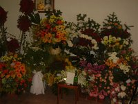 DSC03367 JPG