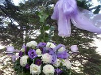 Rimon Miriam Werdan 019 JPG