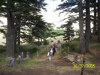 Rimon Miriam Werdan 021 JPG
