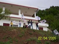 100 7299 JPG