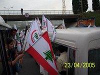 100 7365 JPG