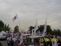 100 7403 JPG