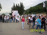 100 7407 JPG