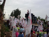 100 7445 JPG