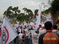 100 7446 JPG