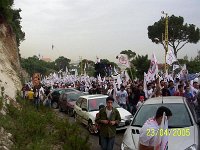 100 7449 JPG