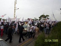 100 7450 JPG