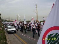 100 7451 JPG
