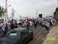 100 7453 JPG