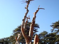 DSC03337