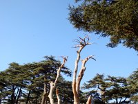 DSC03341