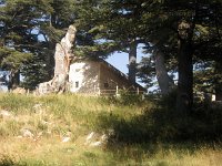 IMG 0649