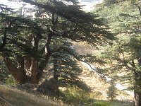 IMG 0680