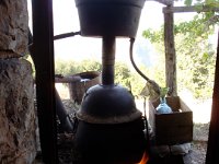 DSC05454