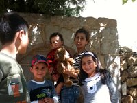 IMG 8892