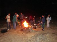 DSC05334