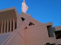 IMG 4917