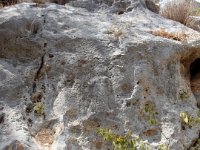 DSC04838
