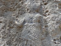 DSC04839