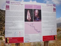 DSC05061