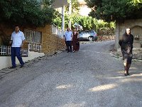 DSC03951