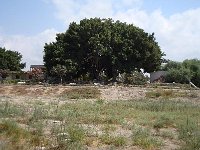 DSC04806