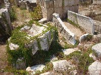 DSC04761