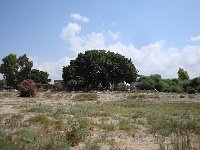 DSC04805