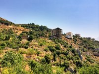 IMG 7763