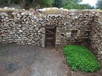 IMG 9089